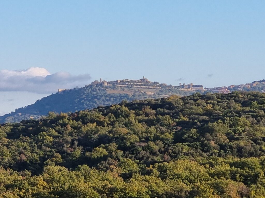 Blick auf Montalcino von Castiglion del Bosco aus. Foto Kai Wunner