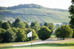 Bild eines Grüns mit Weinbergen im Hintergrund