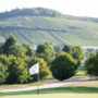 Bild eines Grüns mit Weinbergen im Hintergrund