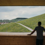 Weinwanderung durch die Korber Weinberge