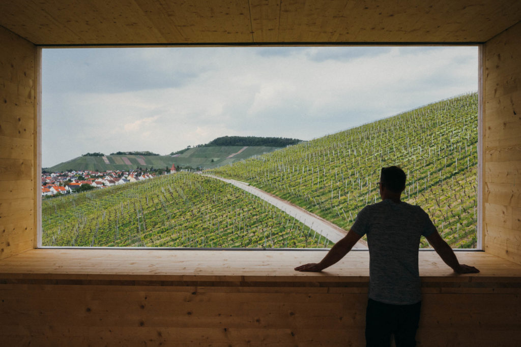 Weinwanderung durch die Korber Weinberge