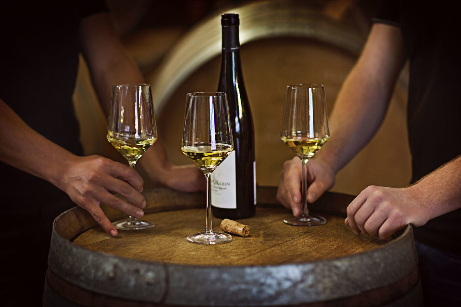 Wein mit allen Sinnen erleben WineSTR